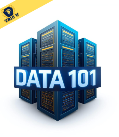 DATA-101-1.webp