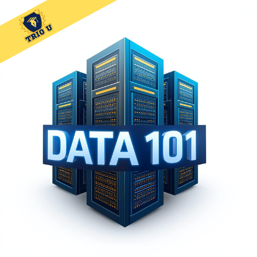 DATA-101-1.webp